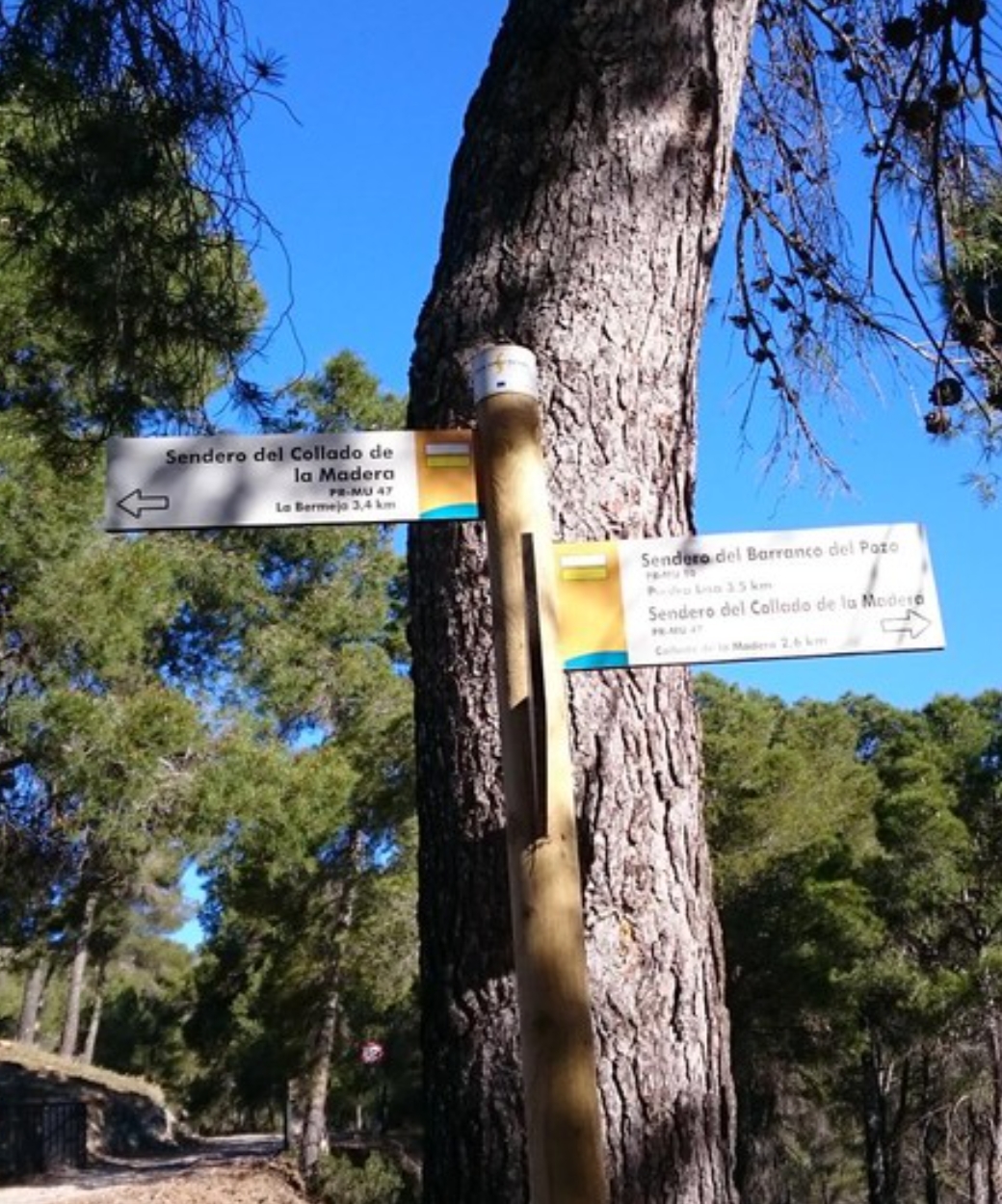 Senderos Sierra de Ricote